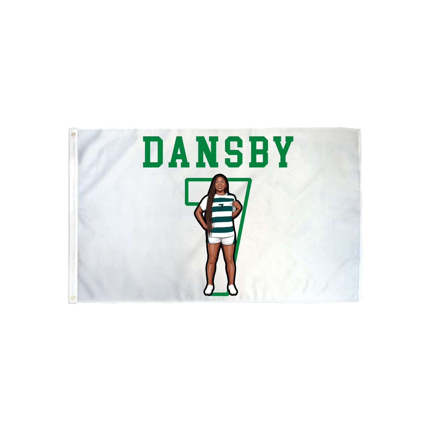 3x5 Flag — Shirsey in Classic