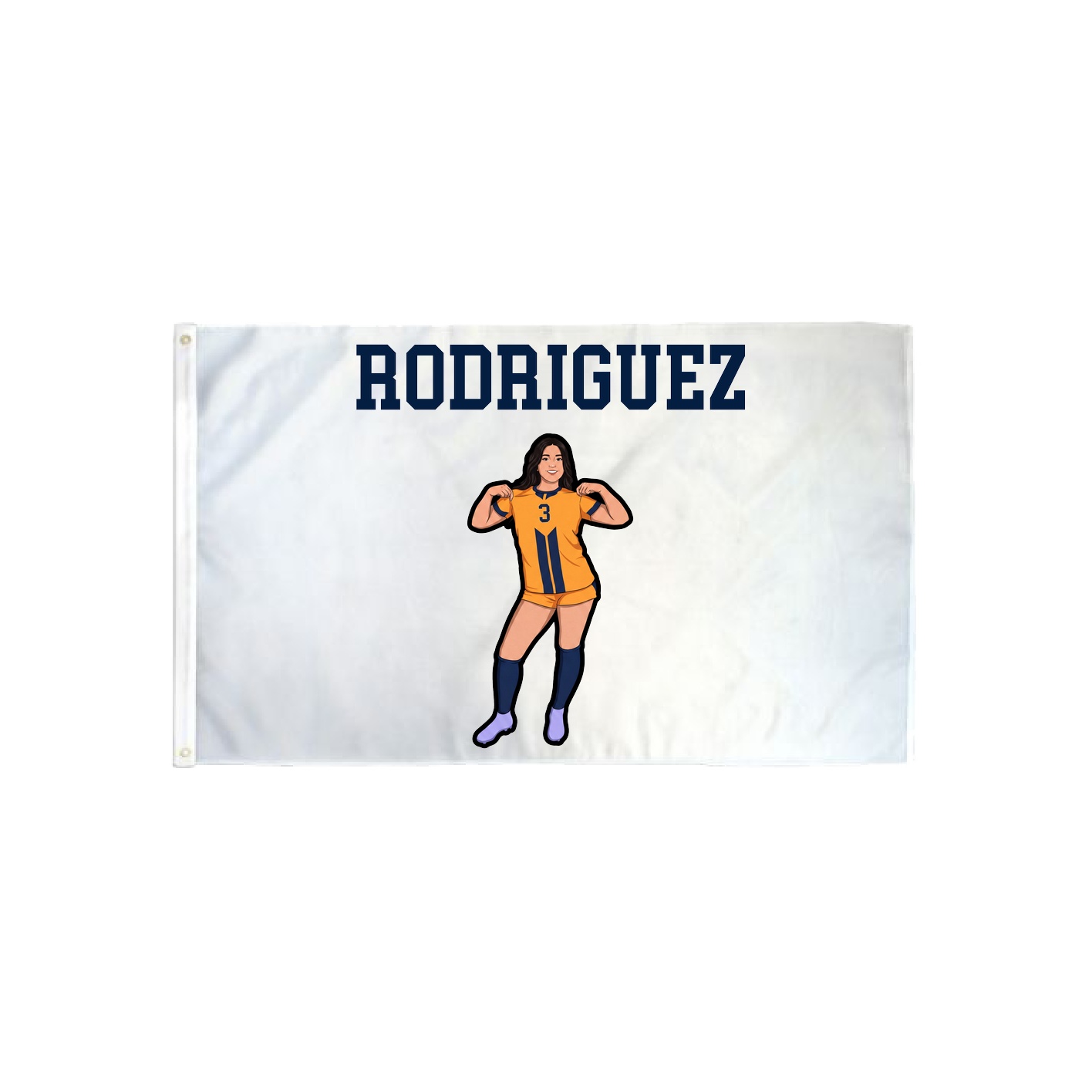 3x5 Flag — Shirsey in Classic