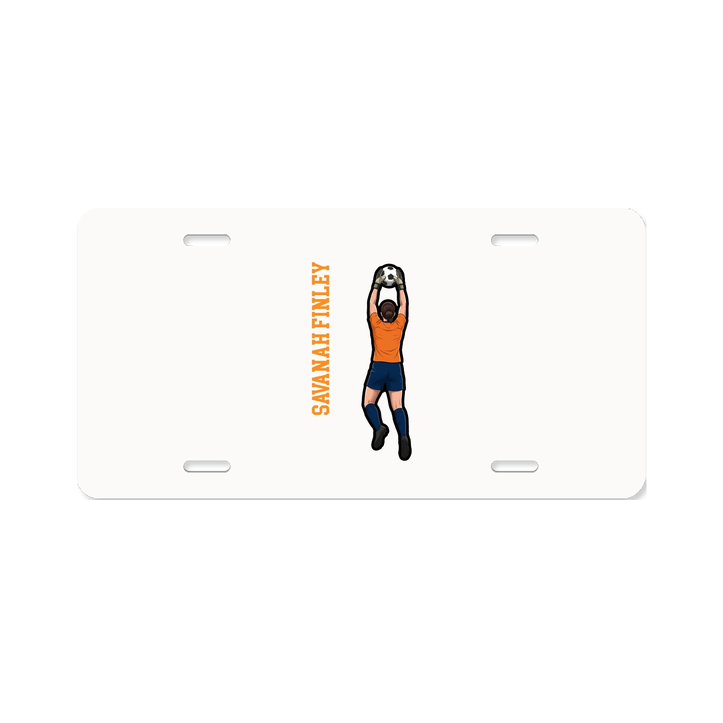 Aluminum License Plate