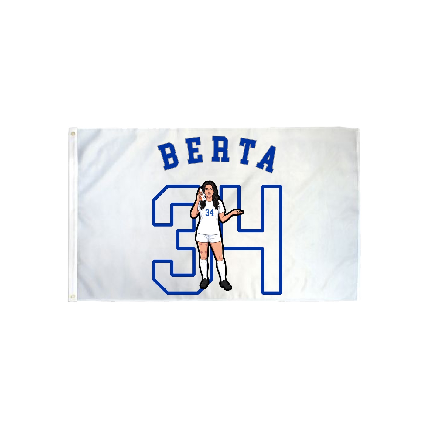 3x5 Flag — Shirsey Arch in Classic