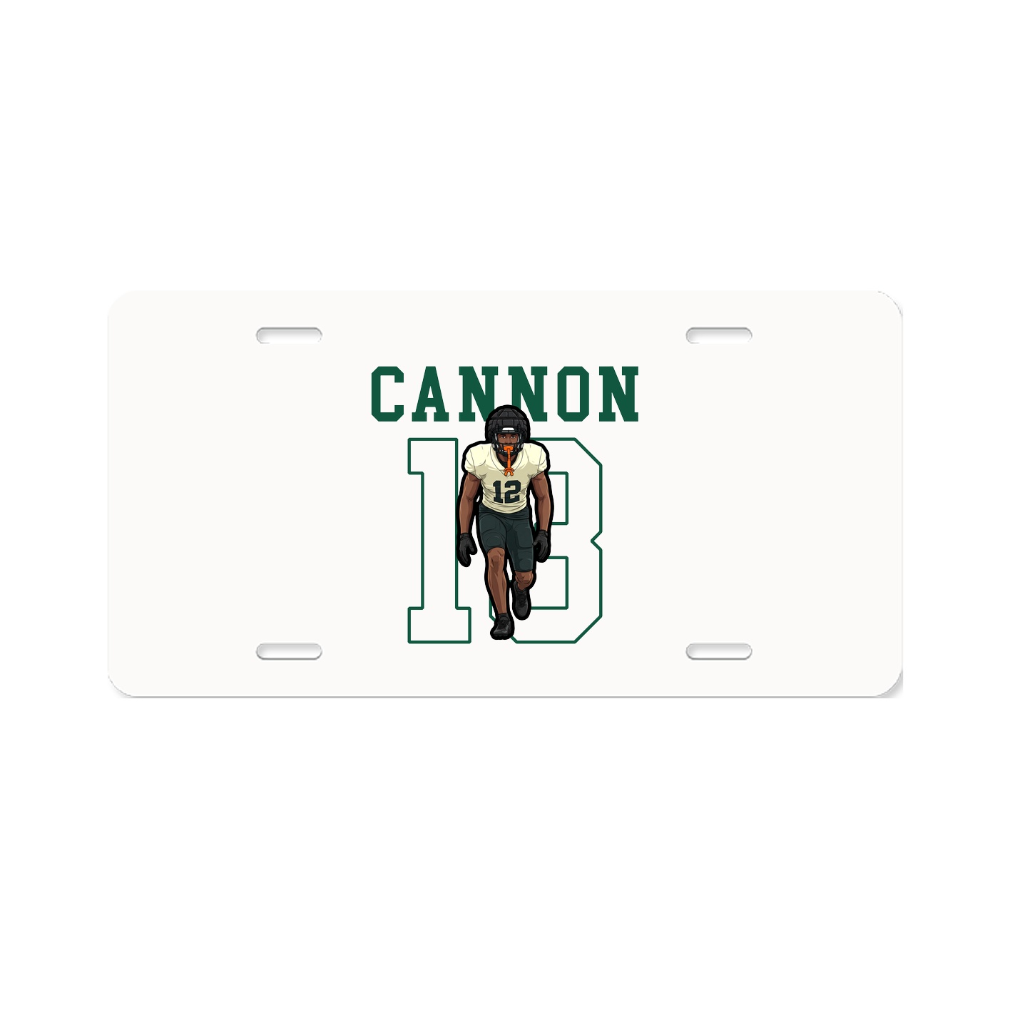Aluminum License Plate