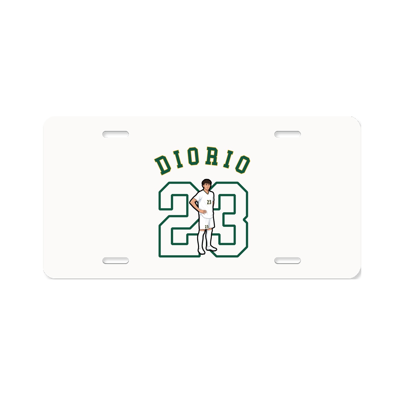 Aluminum License Plate