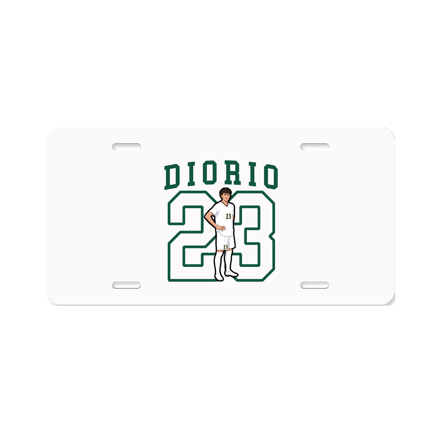 Aluminum License Plate