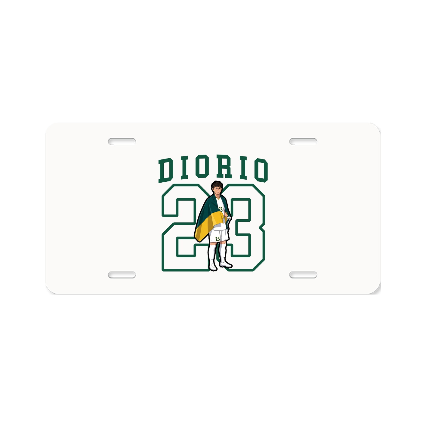 Aluminum License Plate