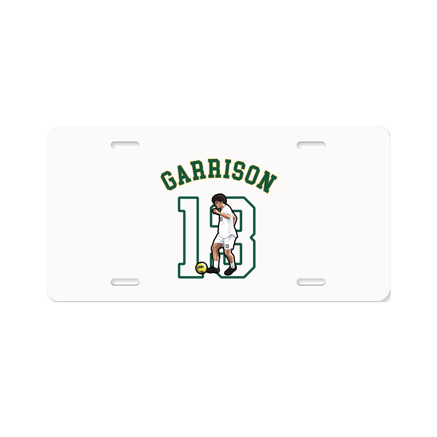 Aluminum License Plate