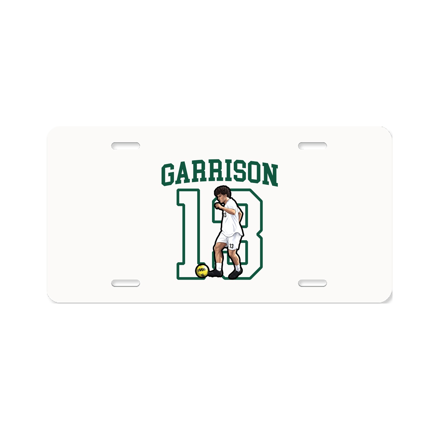 Aluminum License Plate