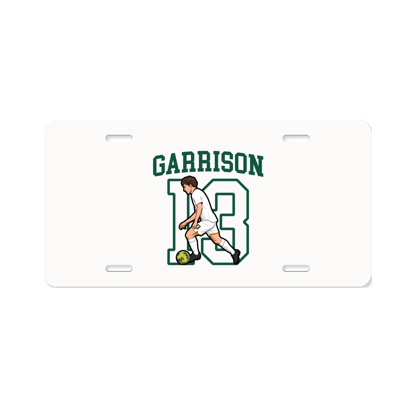 Aluminum License Plate