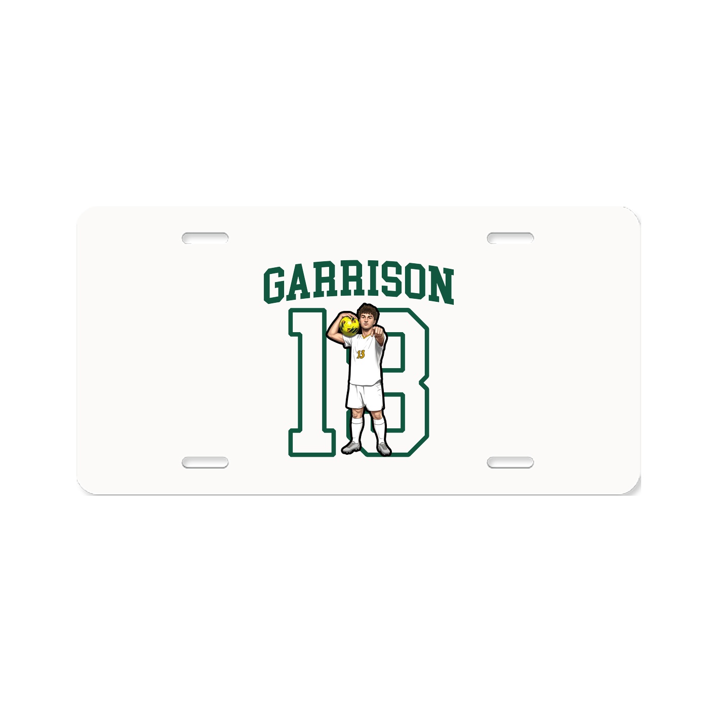 Aluminum License Plate