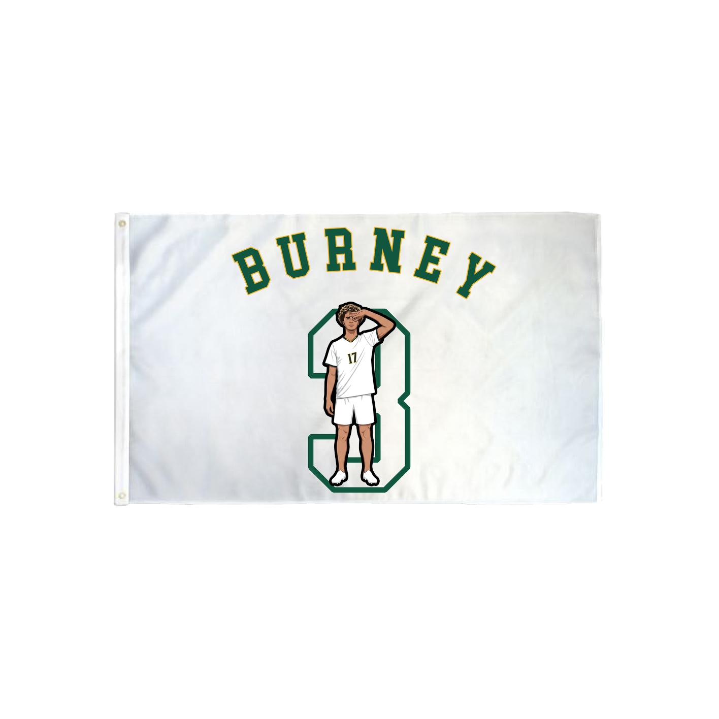 3x5 Flag — Shirsey Arch in Classic