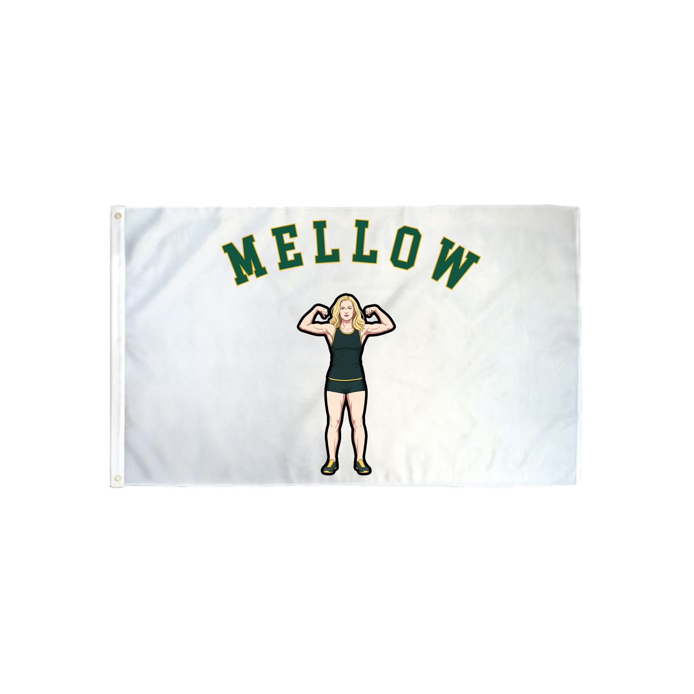 3x5 Flag — Shirsey Arch in Classic