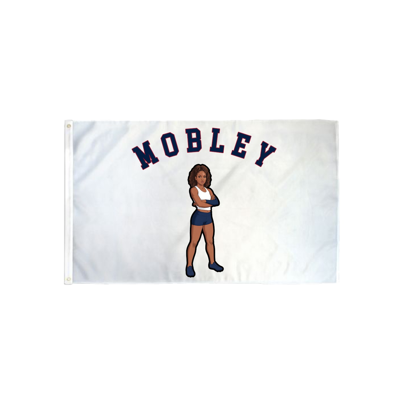 3x5 Flag — Shirsey Arch in Classic