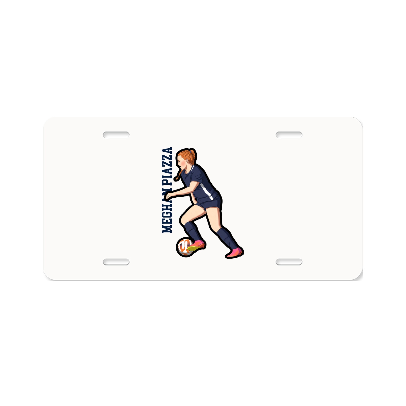 Aluminum License Plate