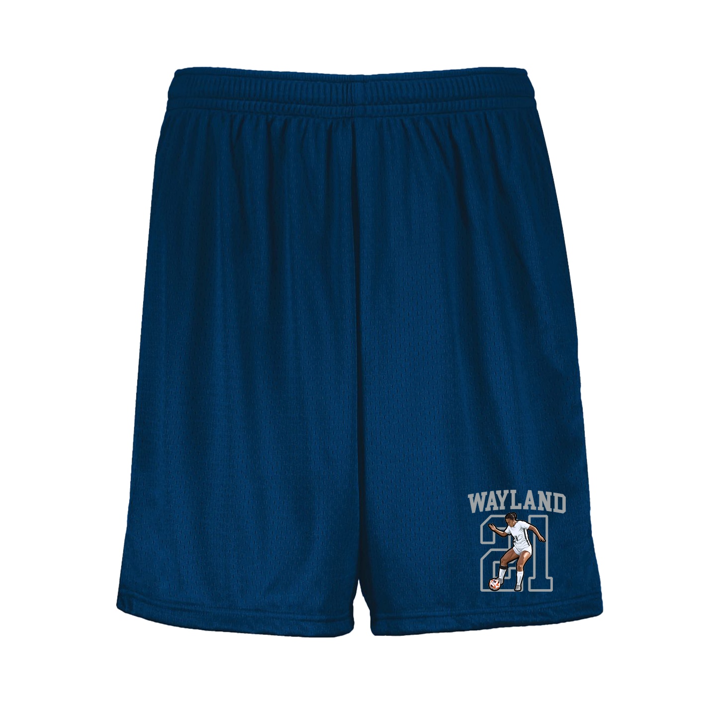 Shorts — Shirsey in Navy