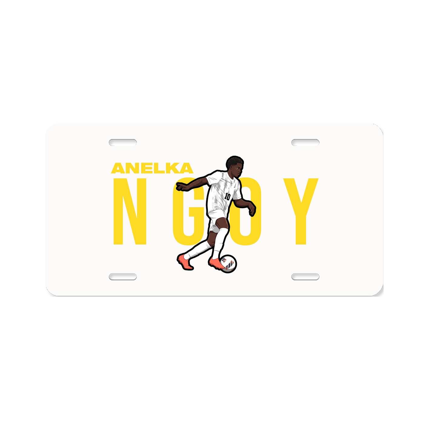License Plate