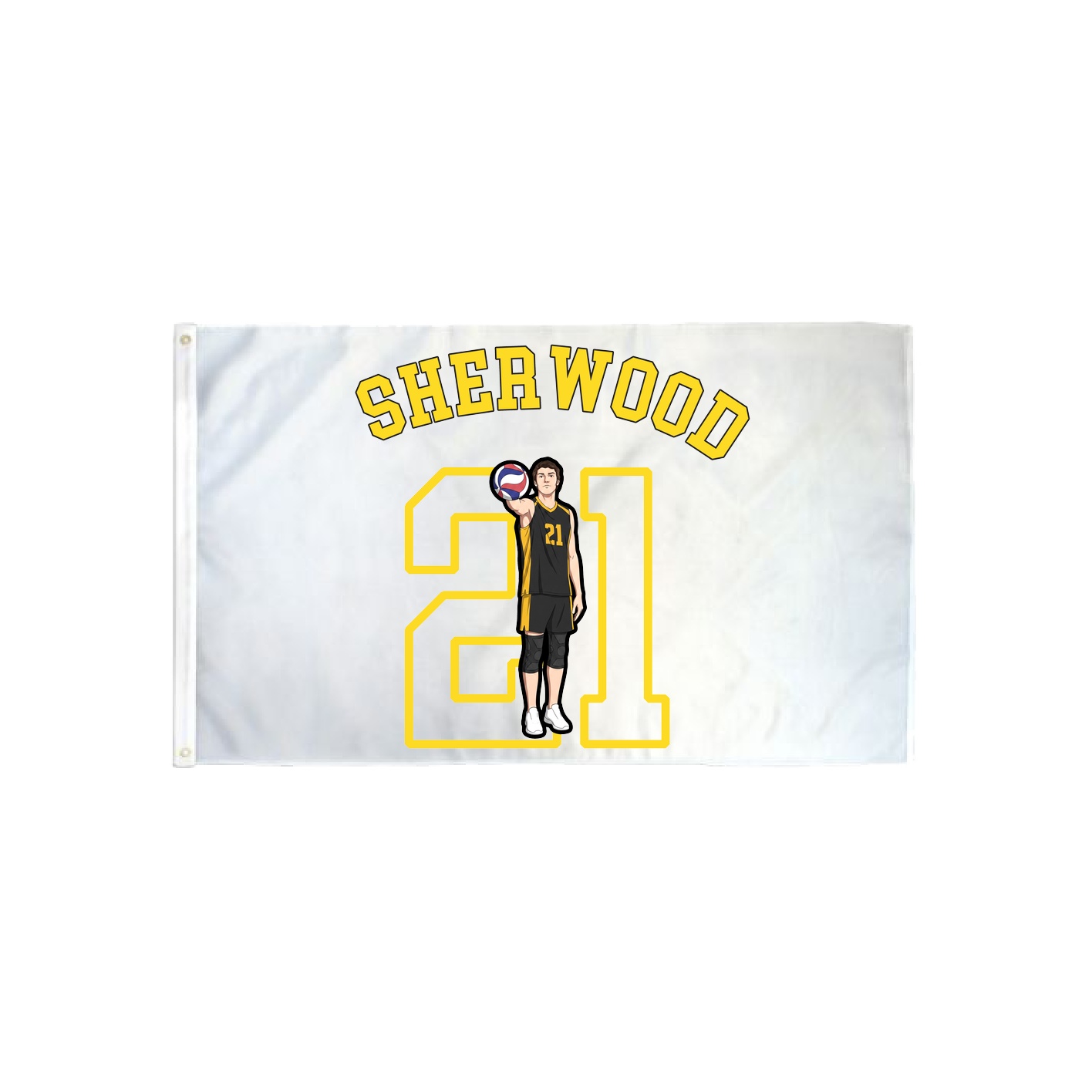 3x5 Flag — Shirsey Arch in Classic