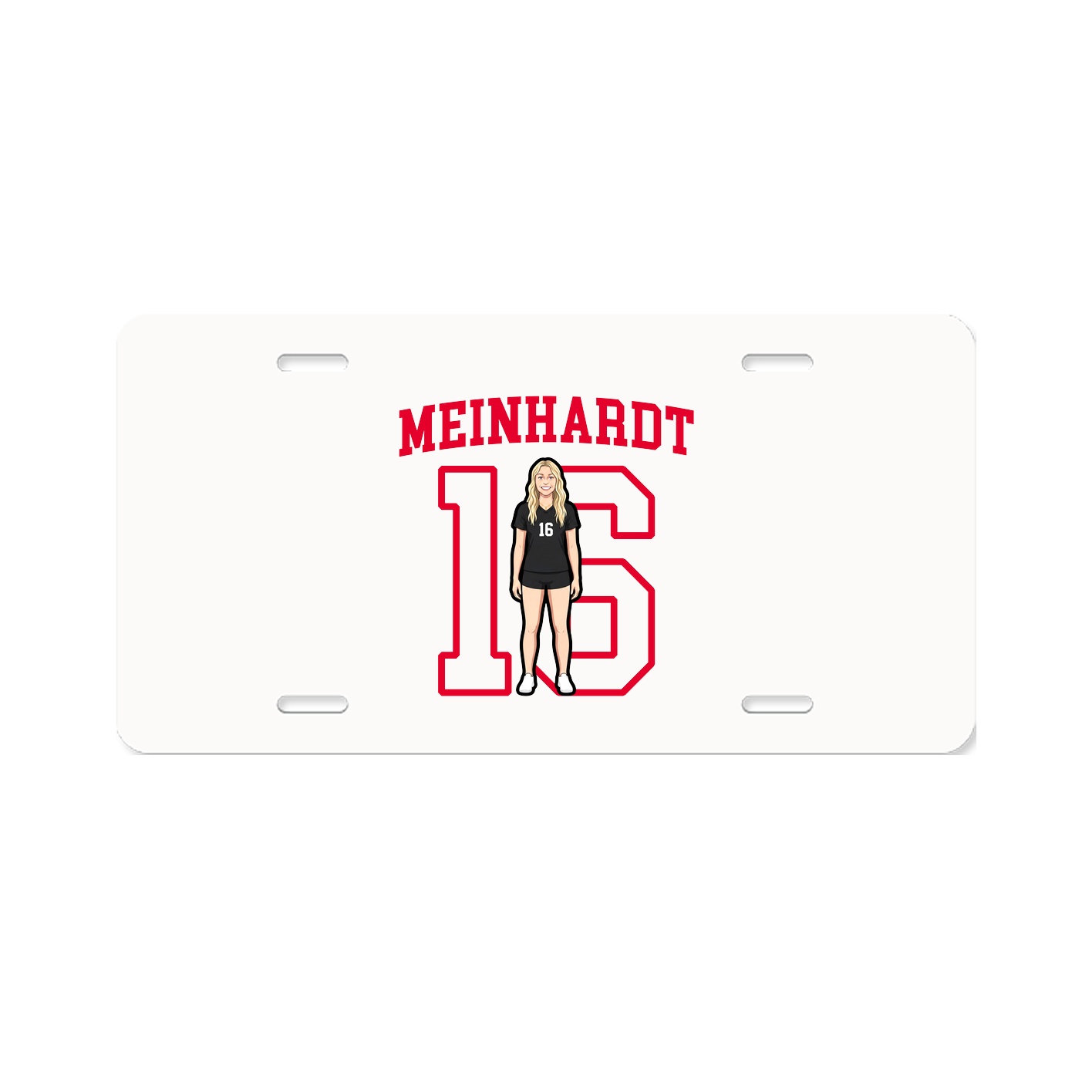 Aluminum License Plate