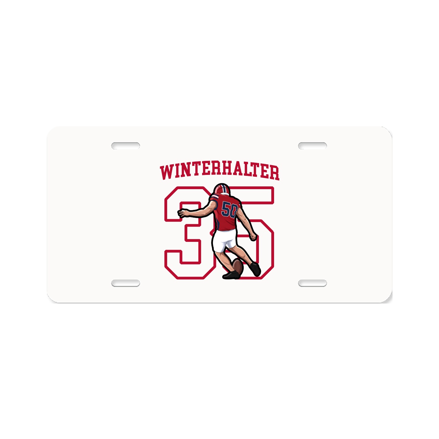 Aluminum License Plate