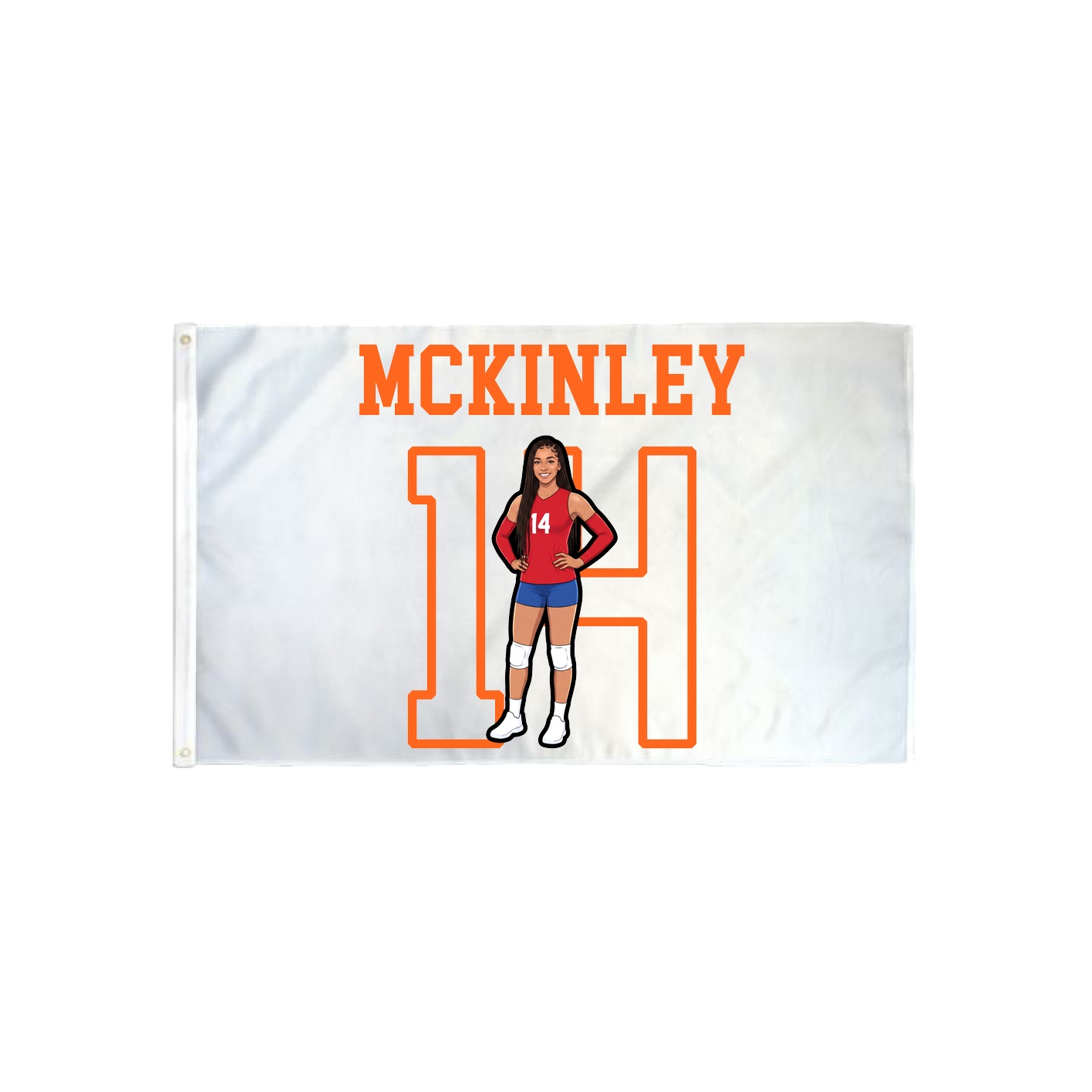 3x5 Flag — Shirsey in Classic