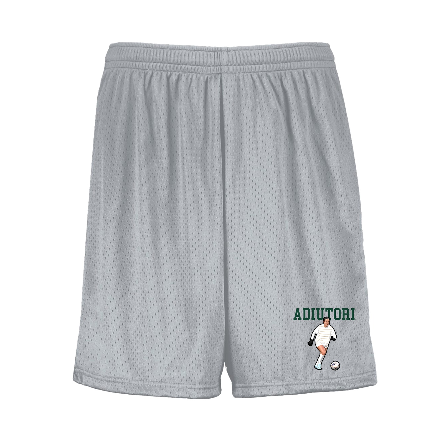 Shorts — Shirsey in Silver