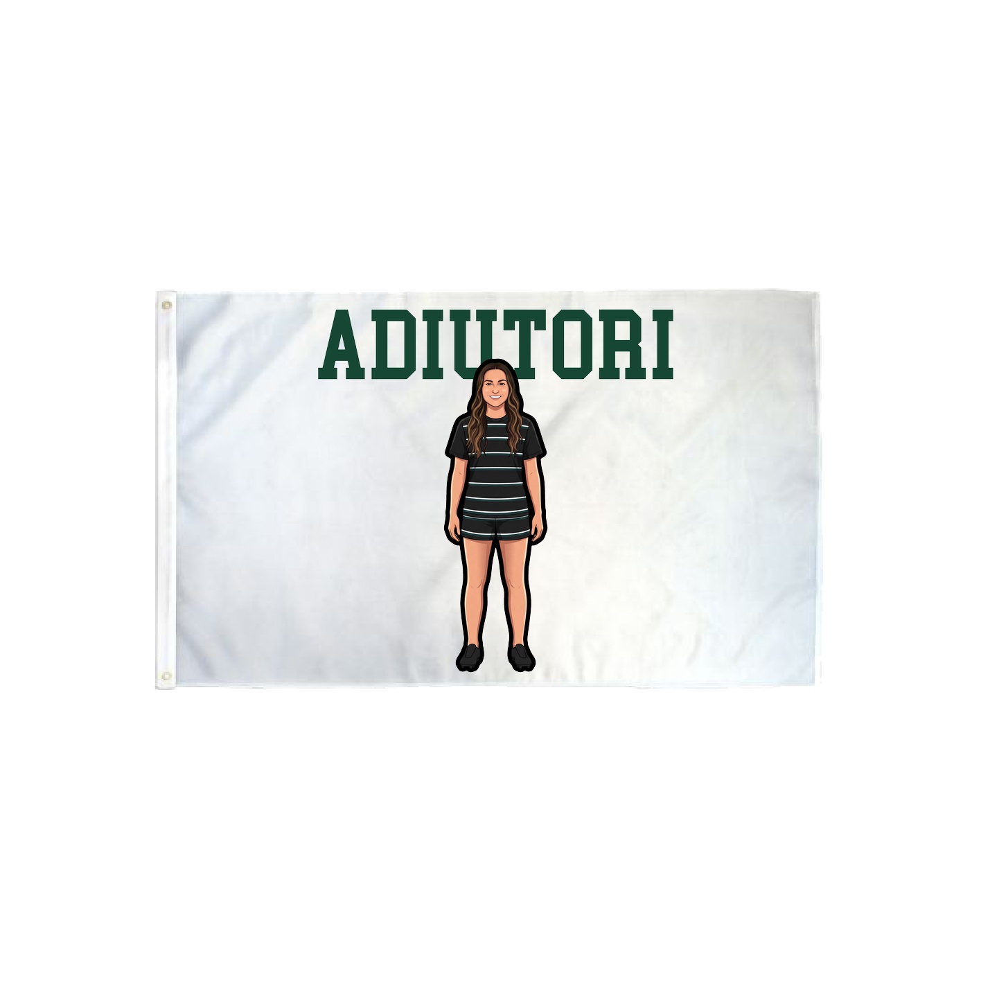 3x5 Flag — Shirsey in Classic