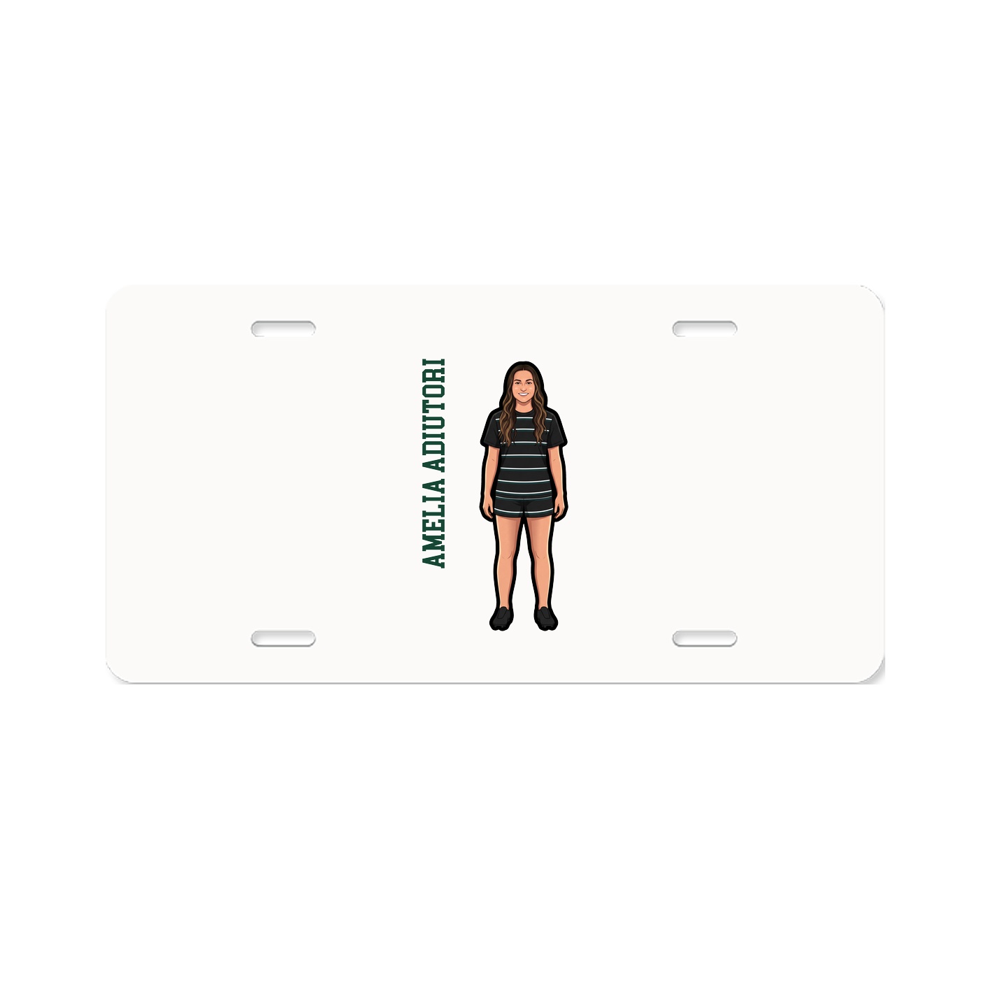 License Plate