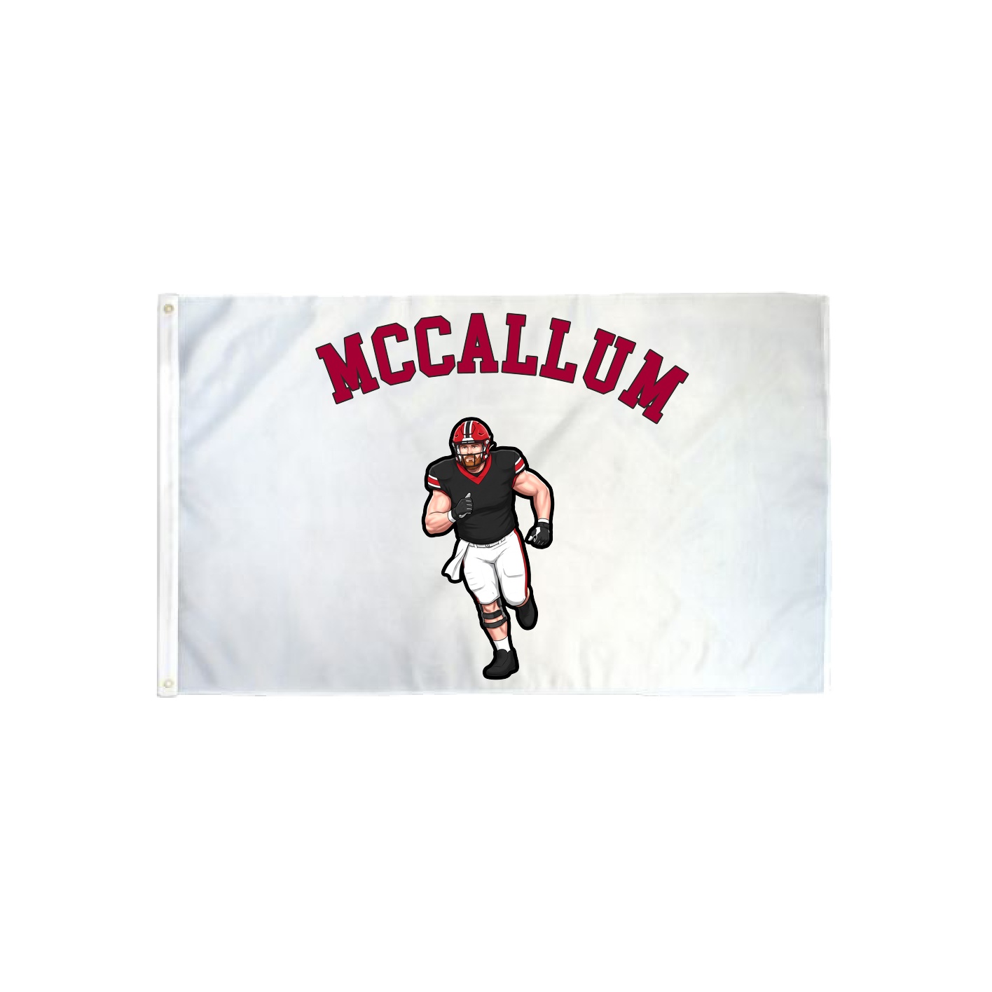 3x5 Flag — Shirsey Arch in Classic