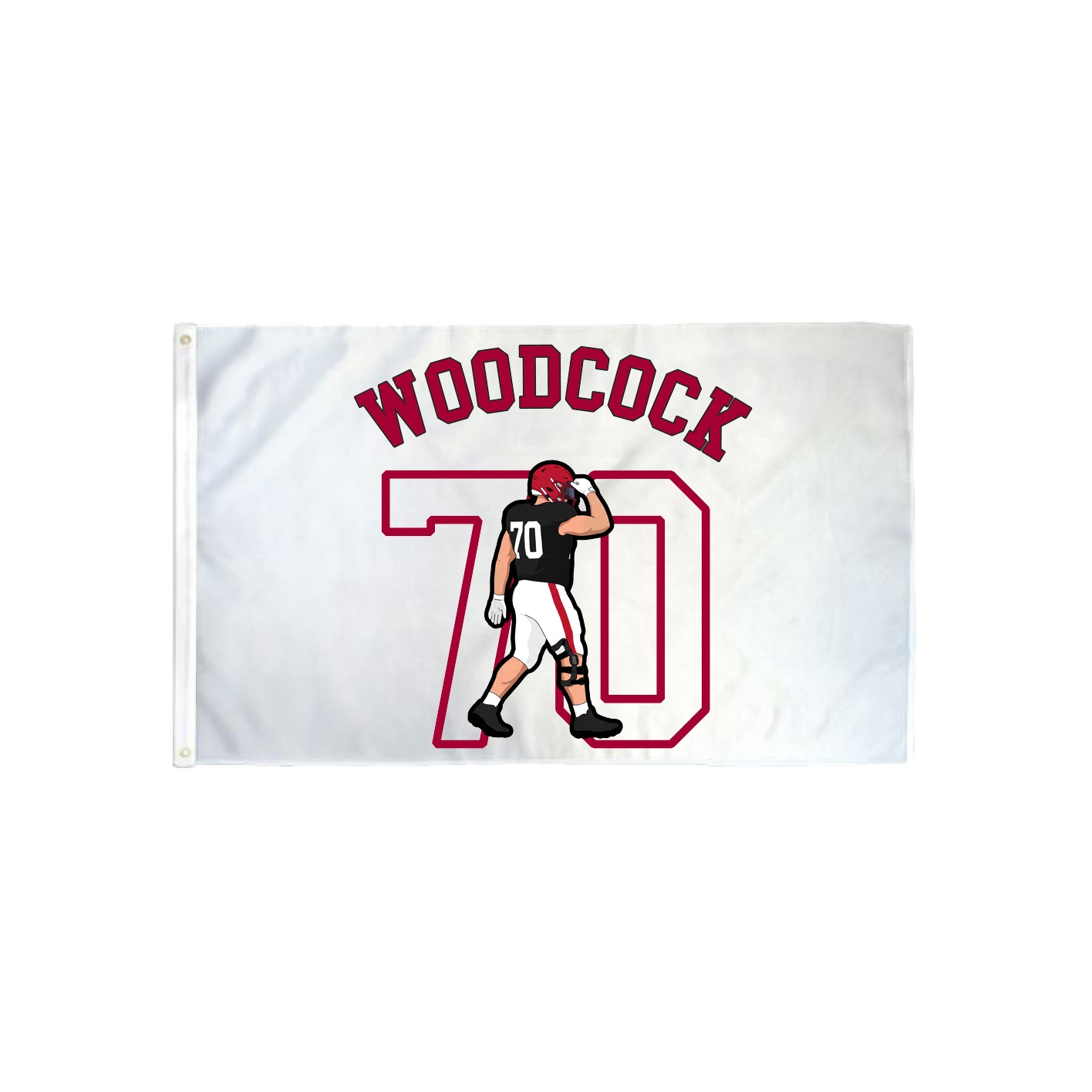 3x5 Flag — Shirsey Arch in Classic