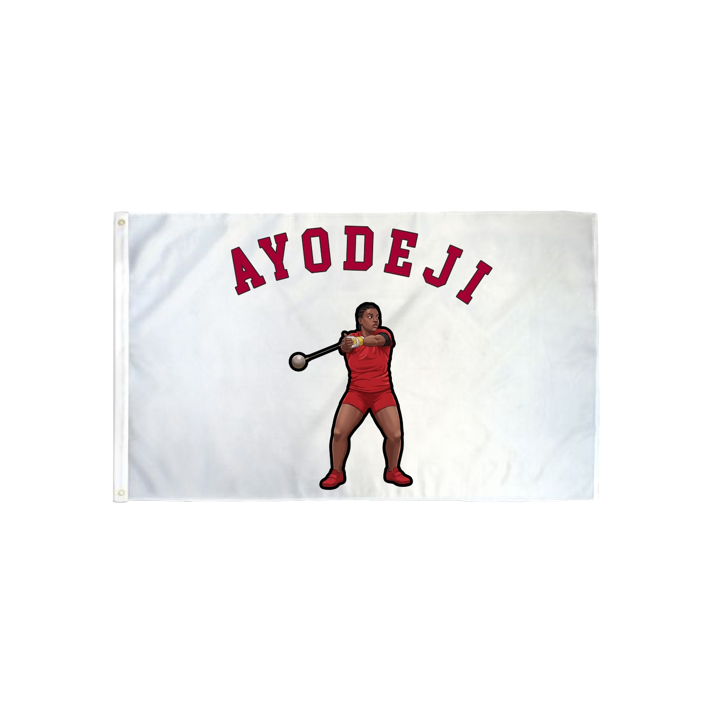 3x5 Flag — Shirsey Arch in Classic