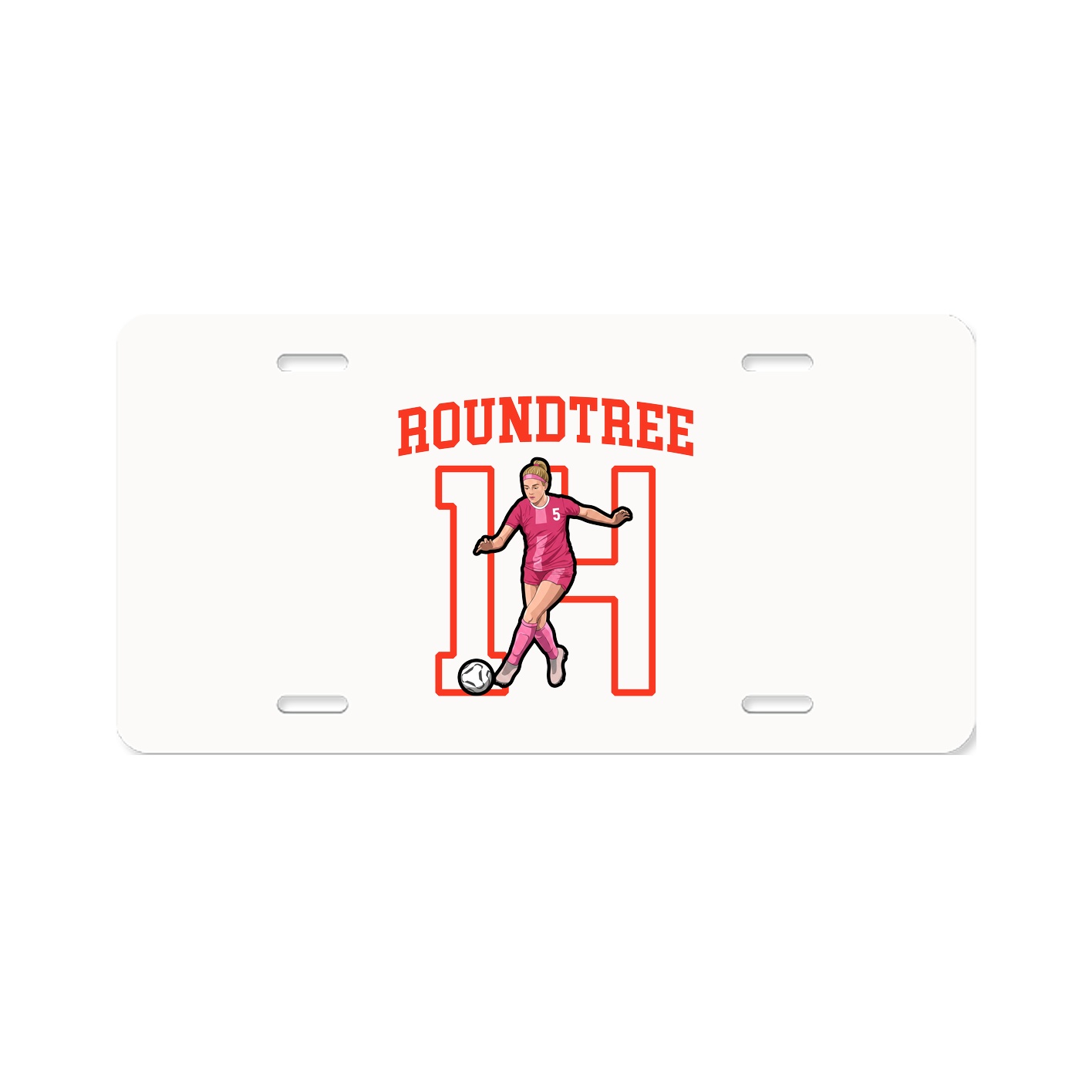 Aluminum License Plate