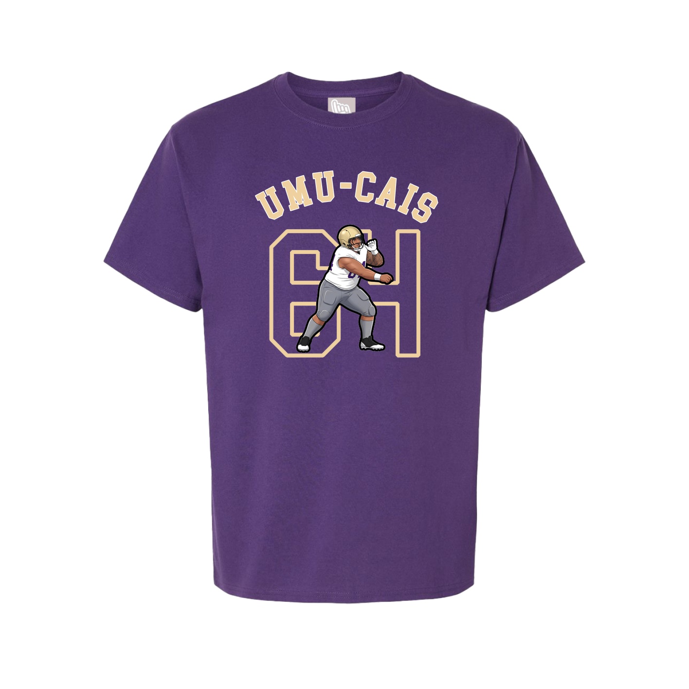 Youth Tee — Shirsey Arch in Purple