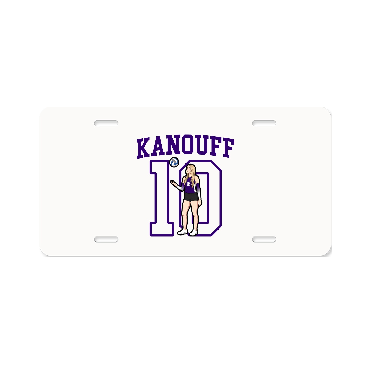 Aluminum License Plate