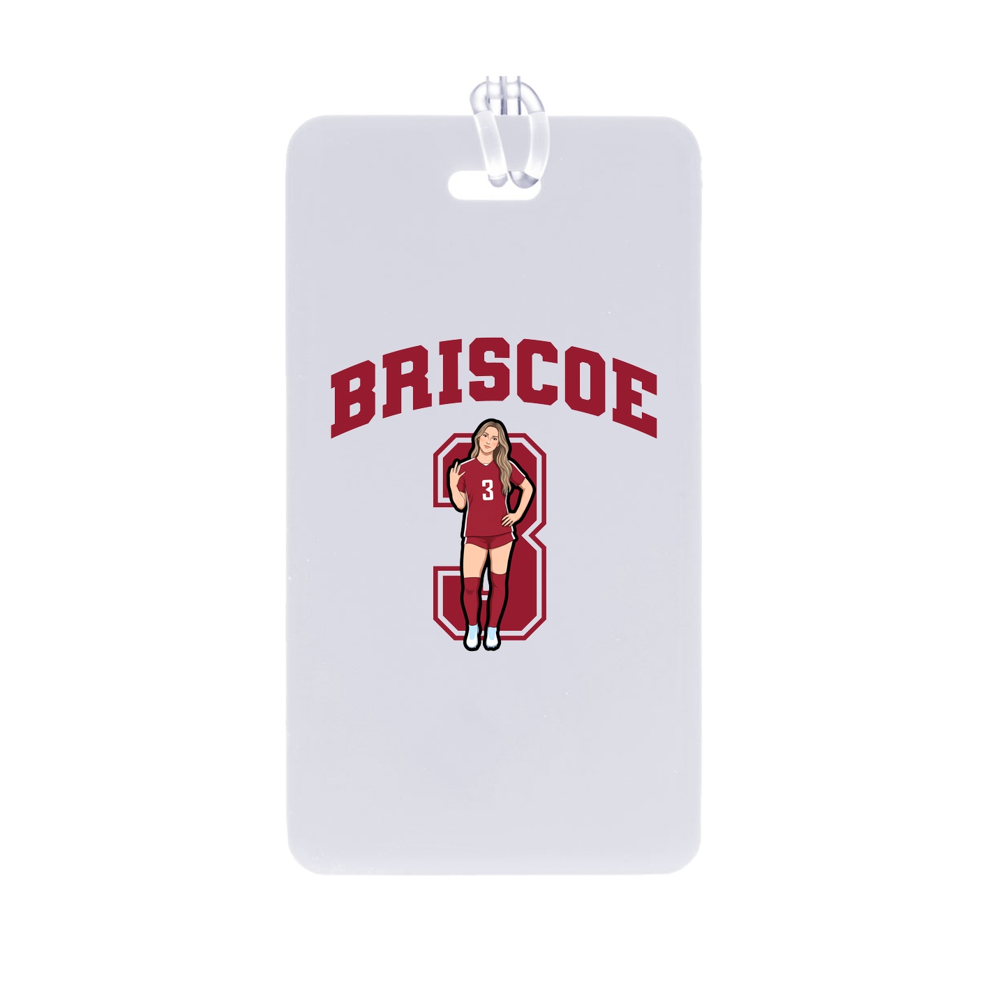 Bag Tag — Number in Classic