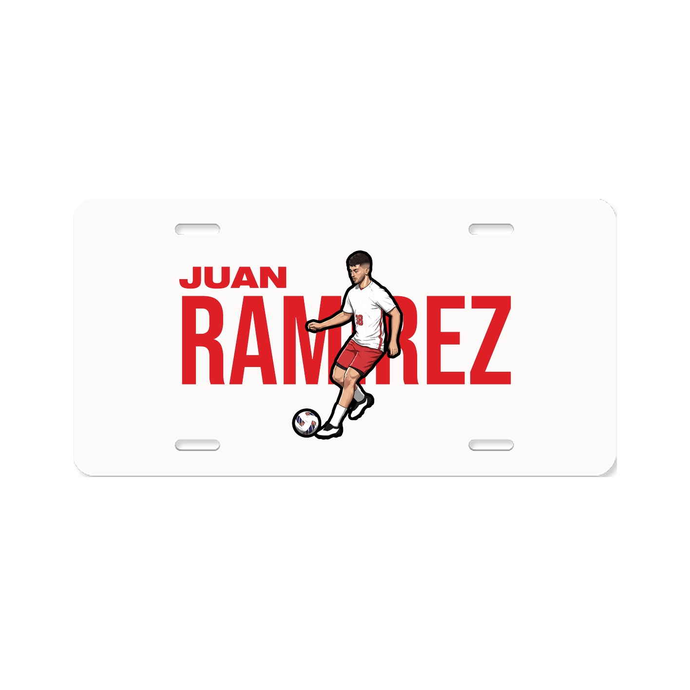 License Plate