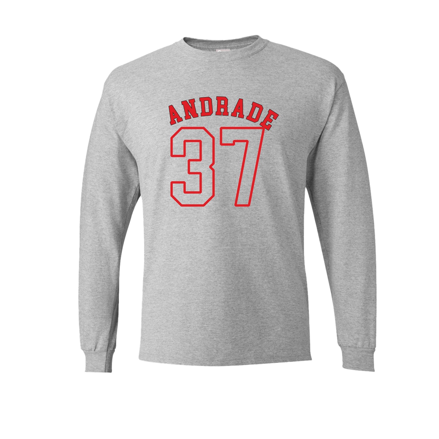 Long Sleeve Tee — Shirsey Arch in Grey