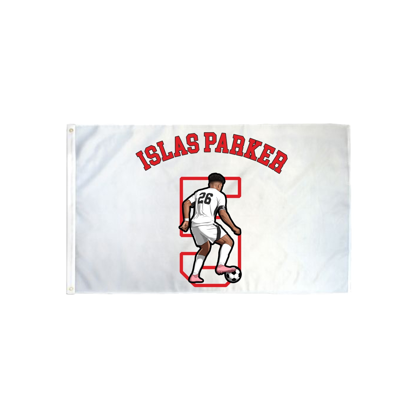 3x5 Flag — Shirsey Arch in Classic
