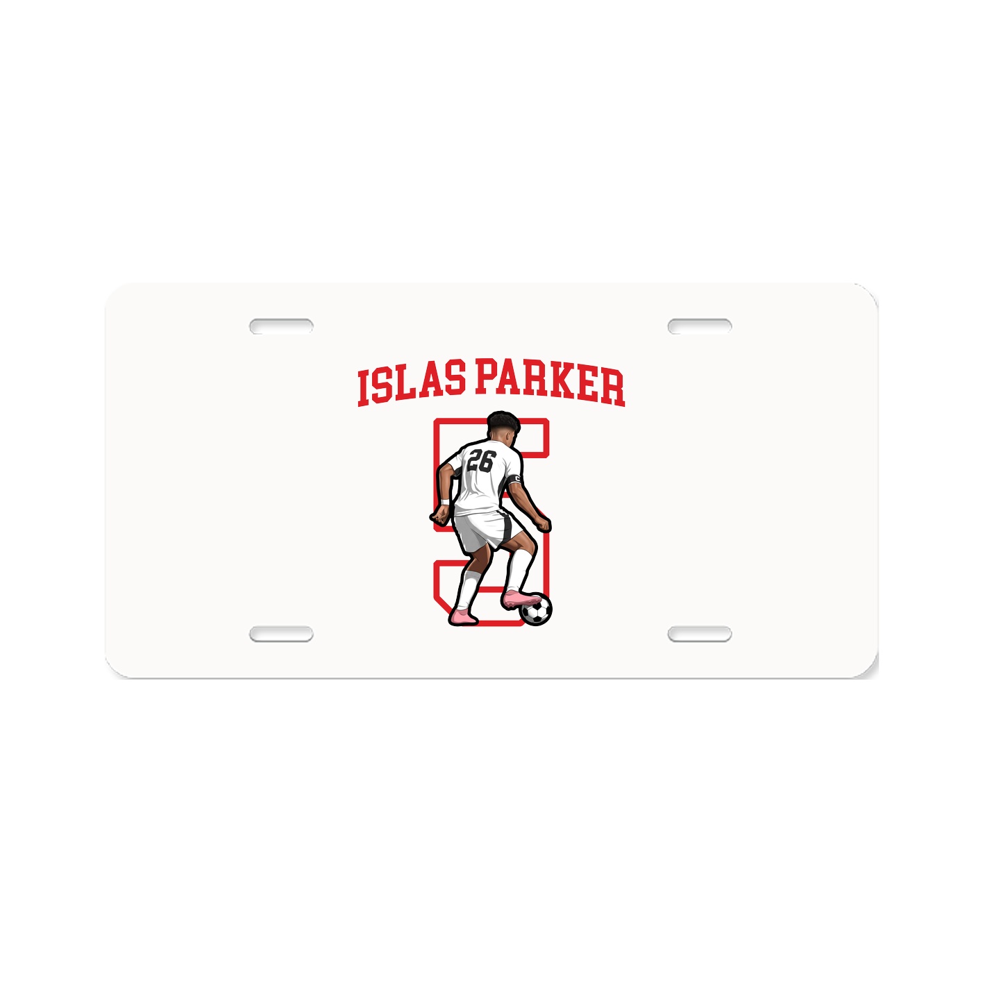 Aluminum License Plate