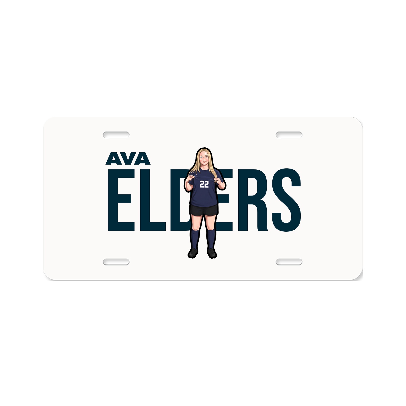 License Plate
