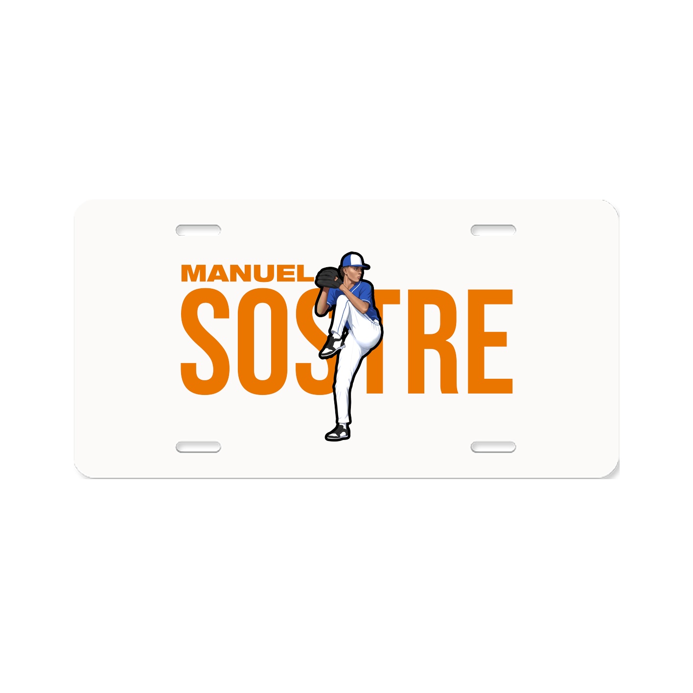 License Plate
