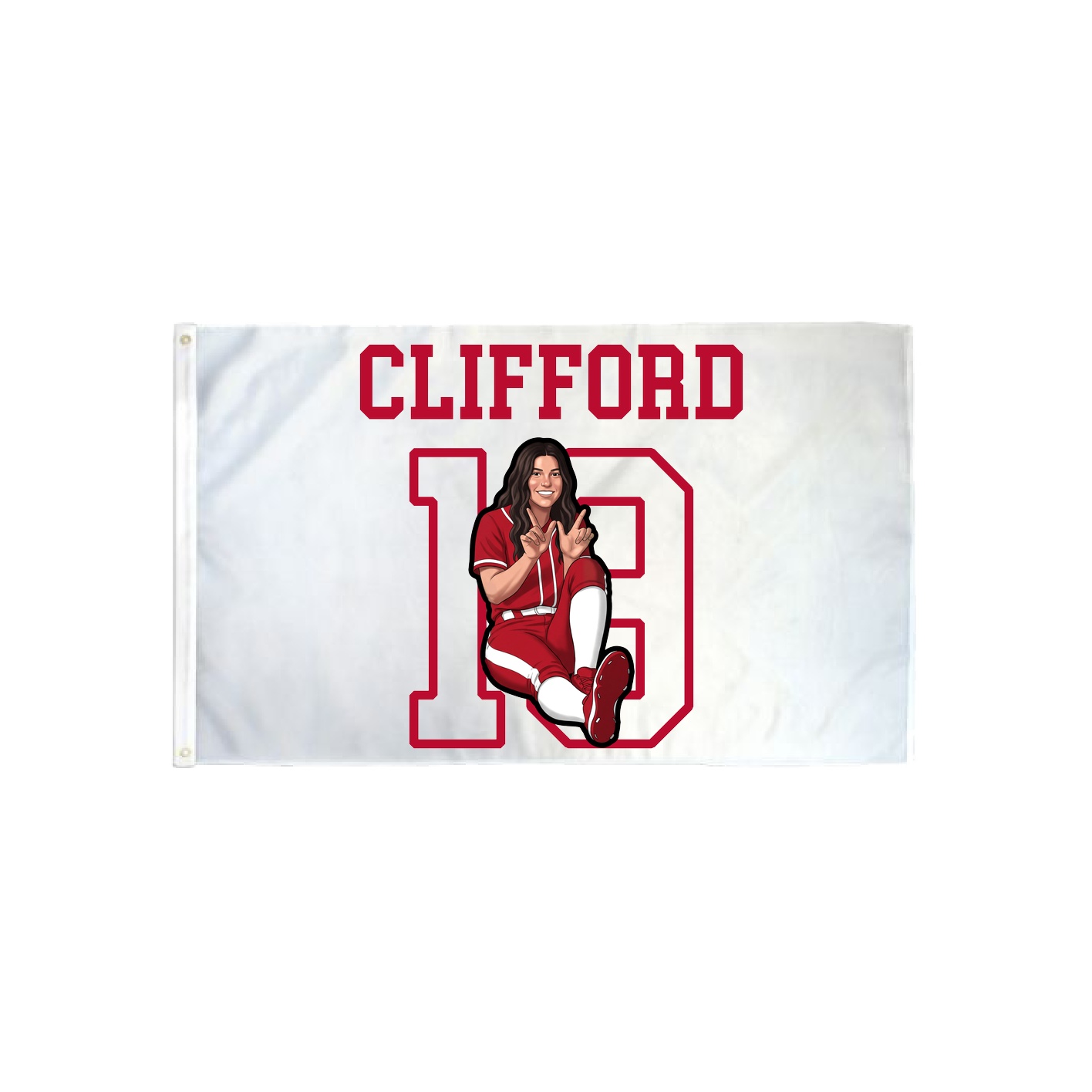 3x5 Flag — Shirsey in Classic