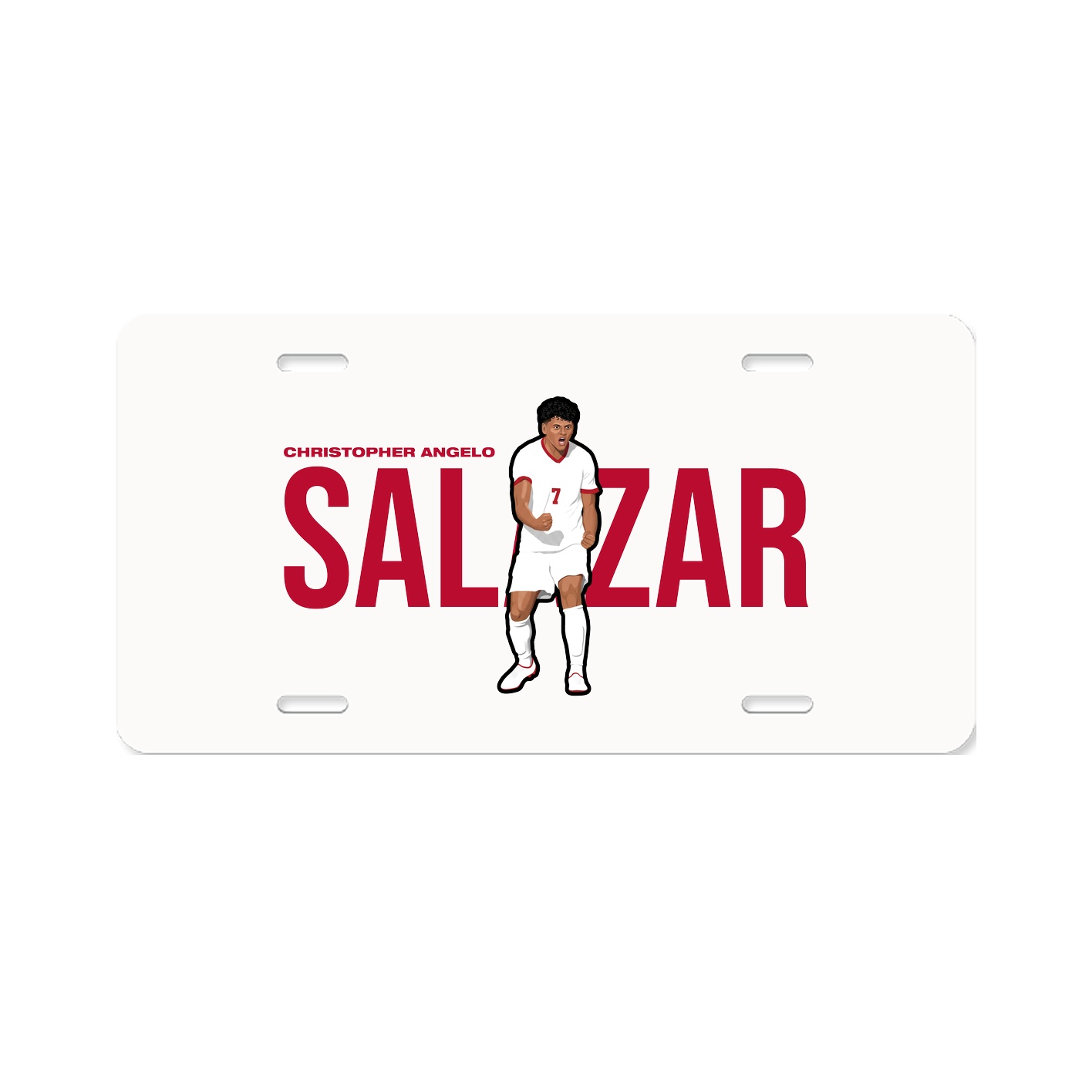 License Plate