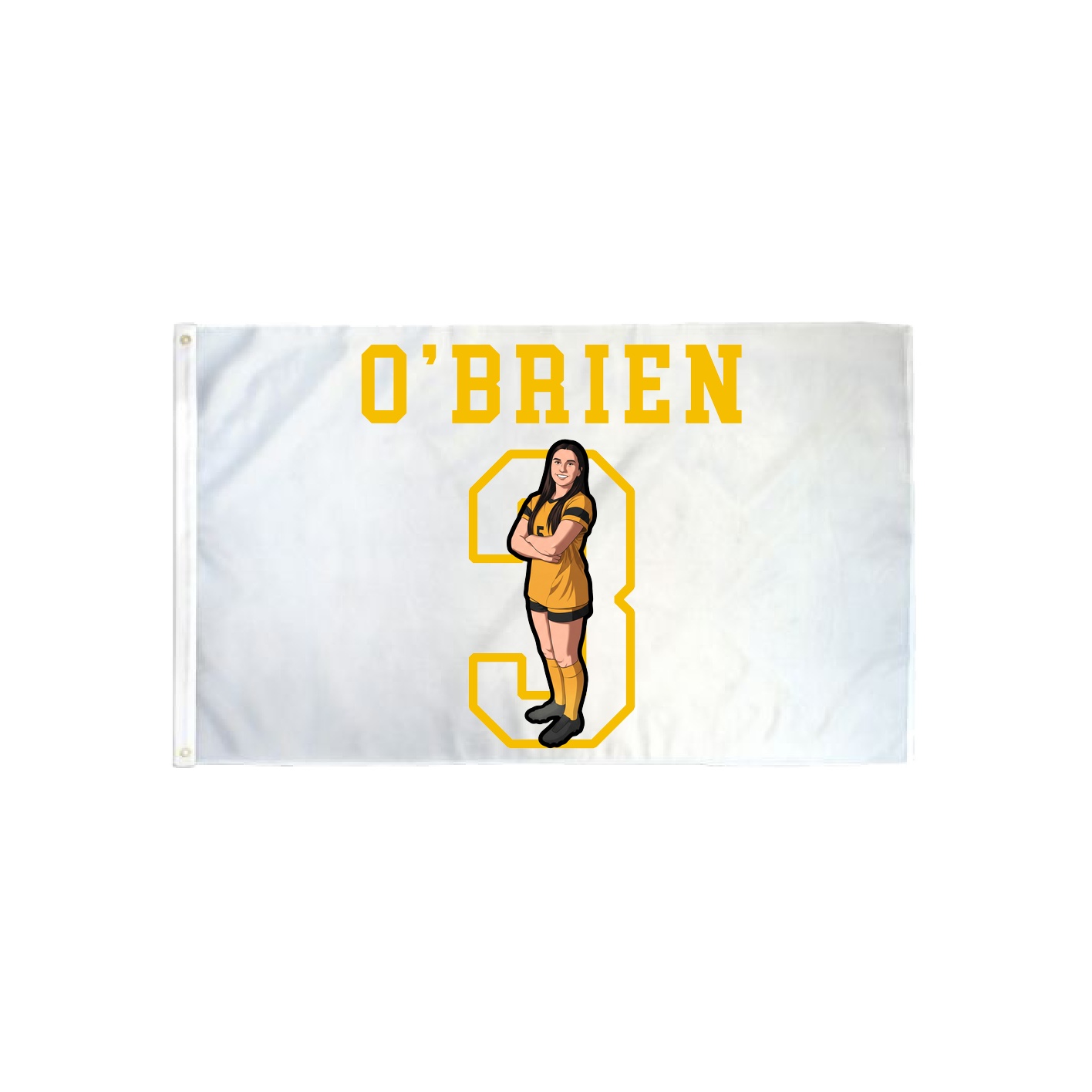 3x5 Flag — Shirsey in Classic