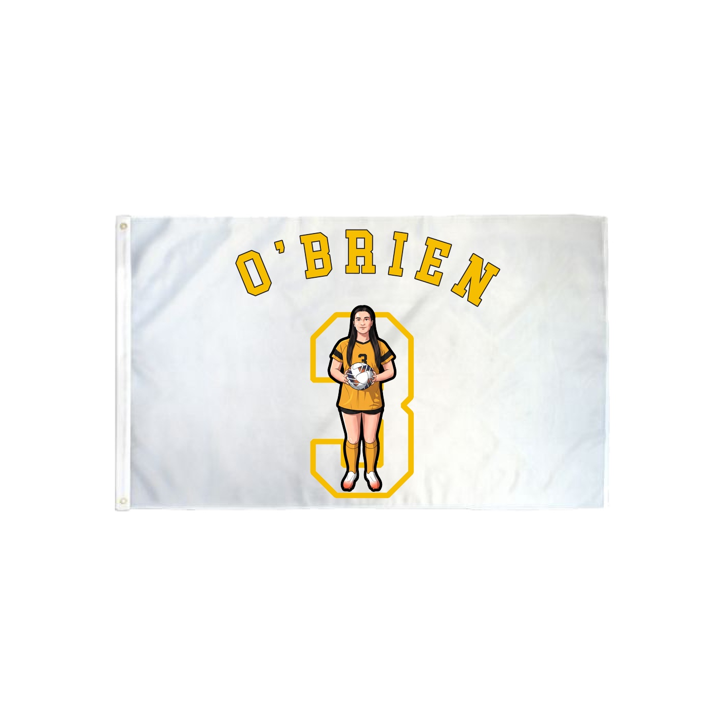 3x5 Flag — Shirsey Arch in Classic