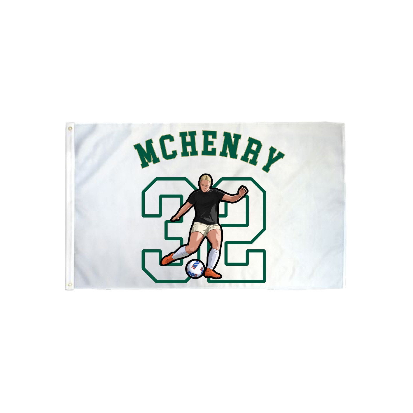 3x5 Flag — Shirsey Arch in Classic