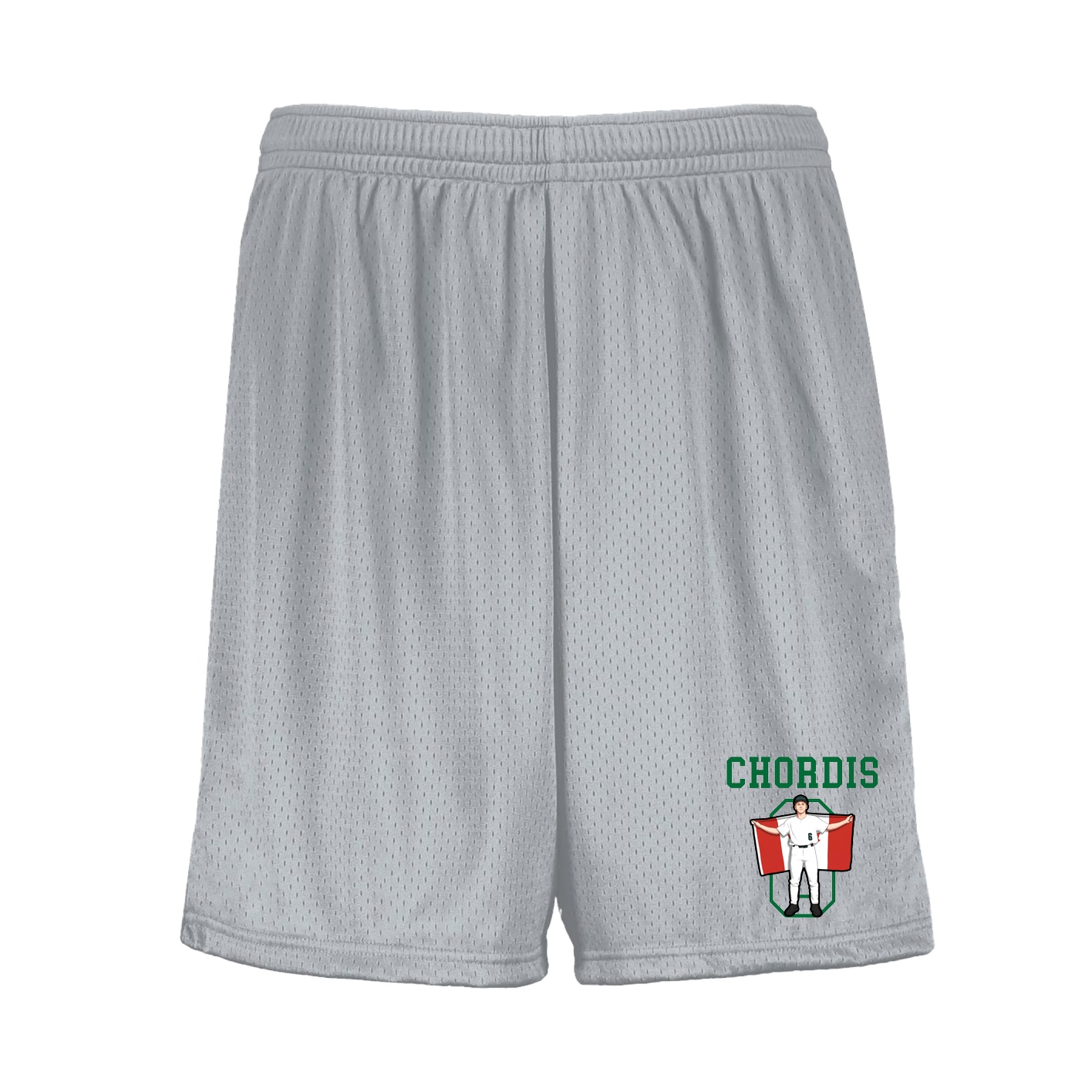 Shorts — Shirsey in Silver