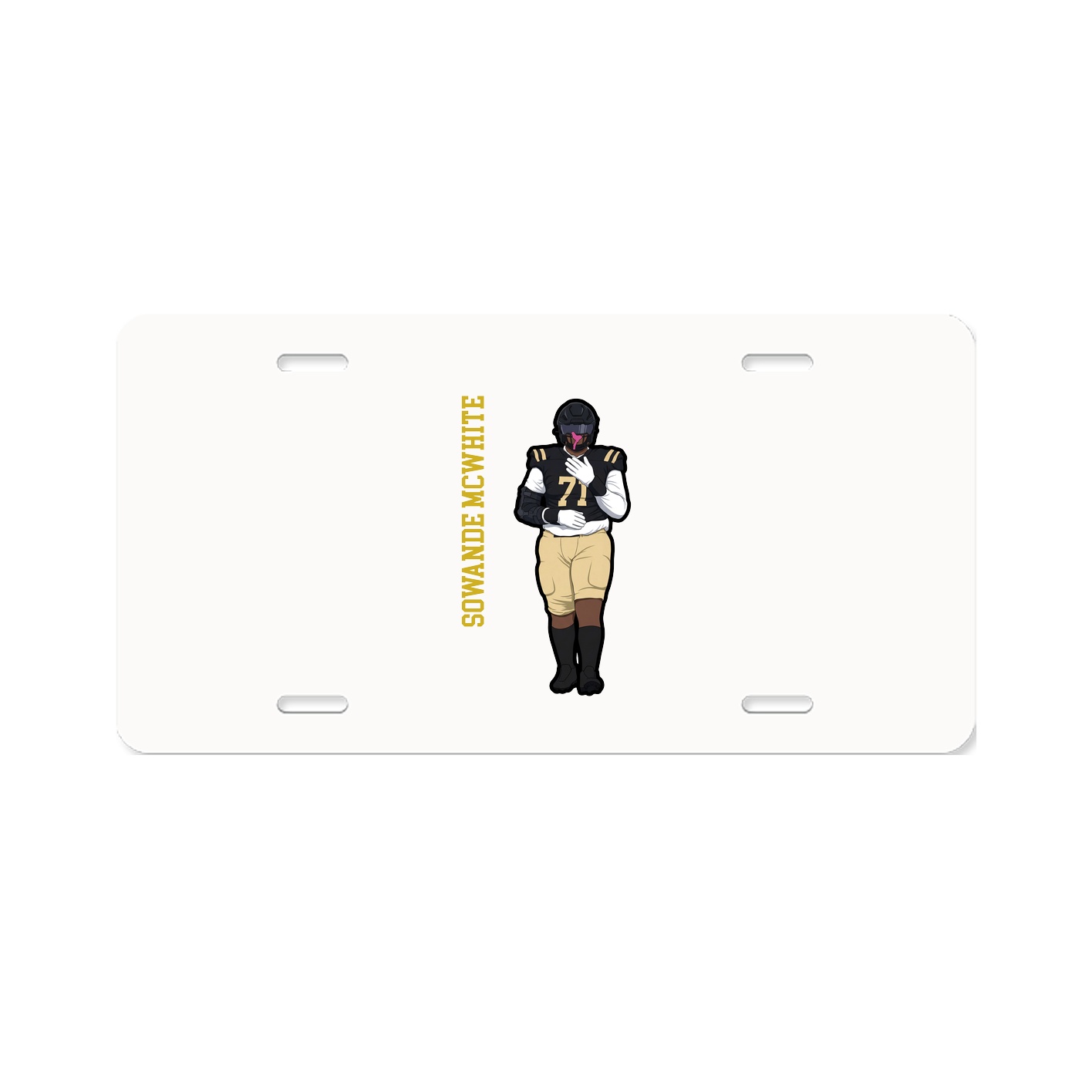 Aluminum License Plate