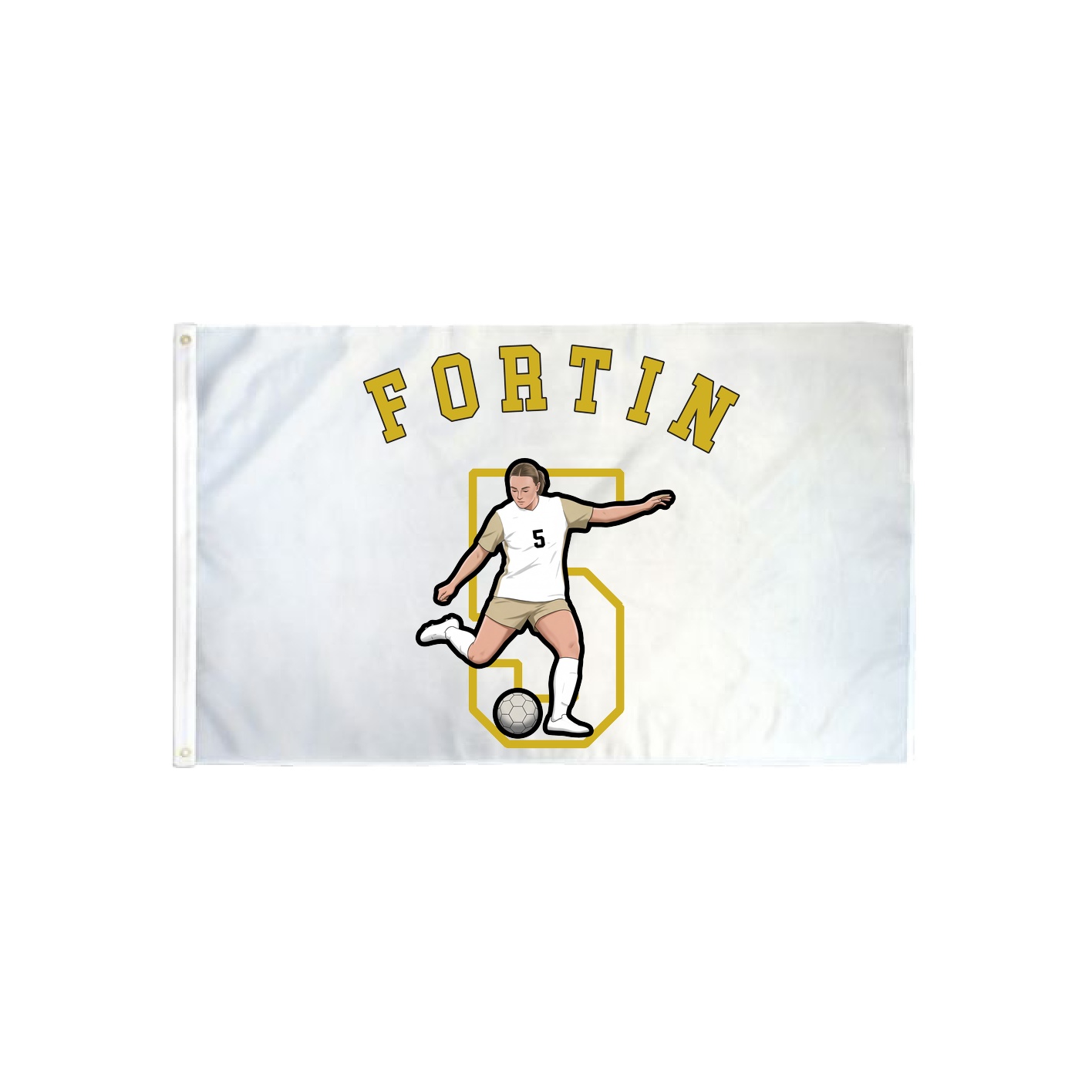 3x5 Flag — Shirsey Arch in Classic
