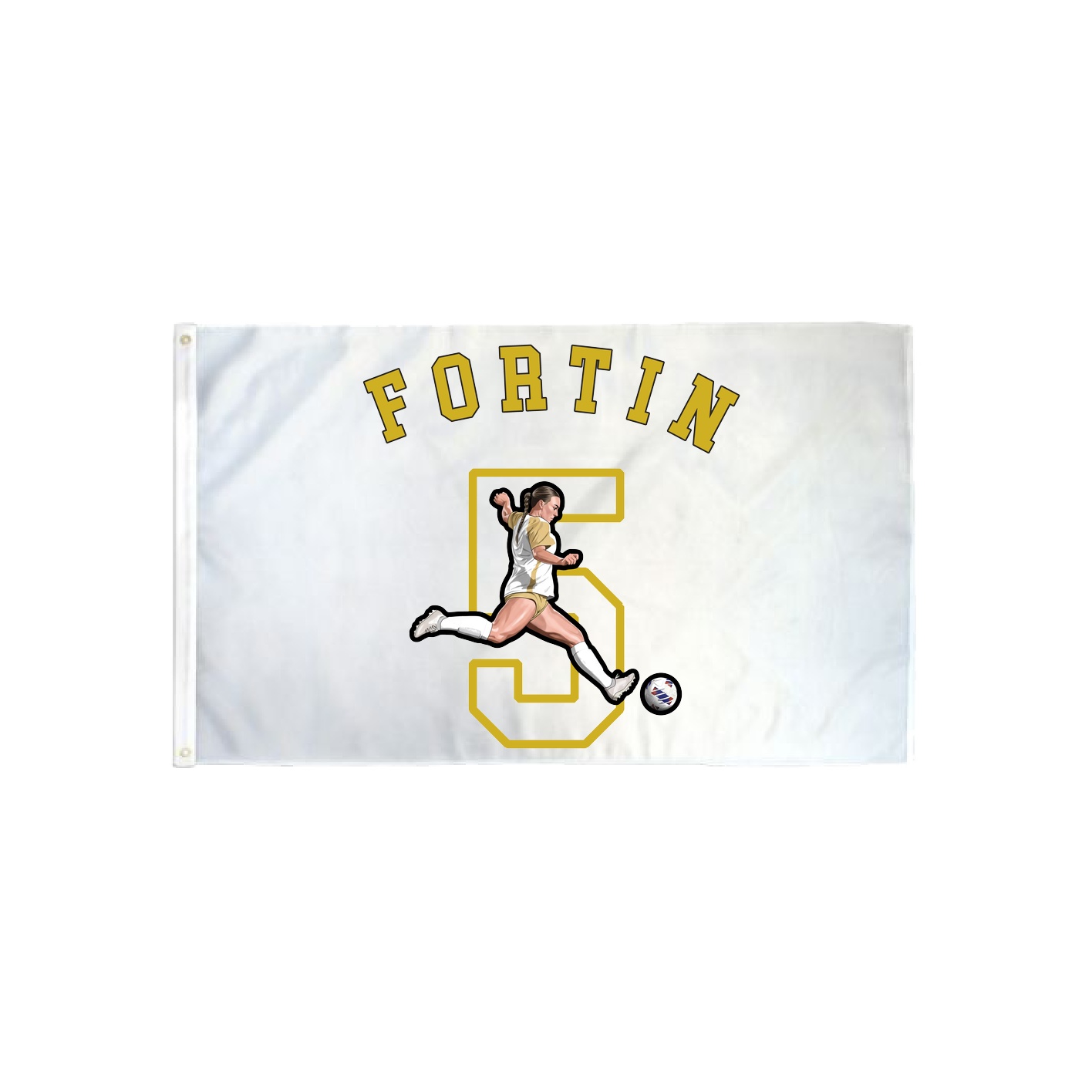3x5 Flag — Shirsey Arch in Classic