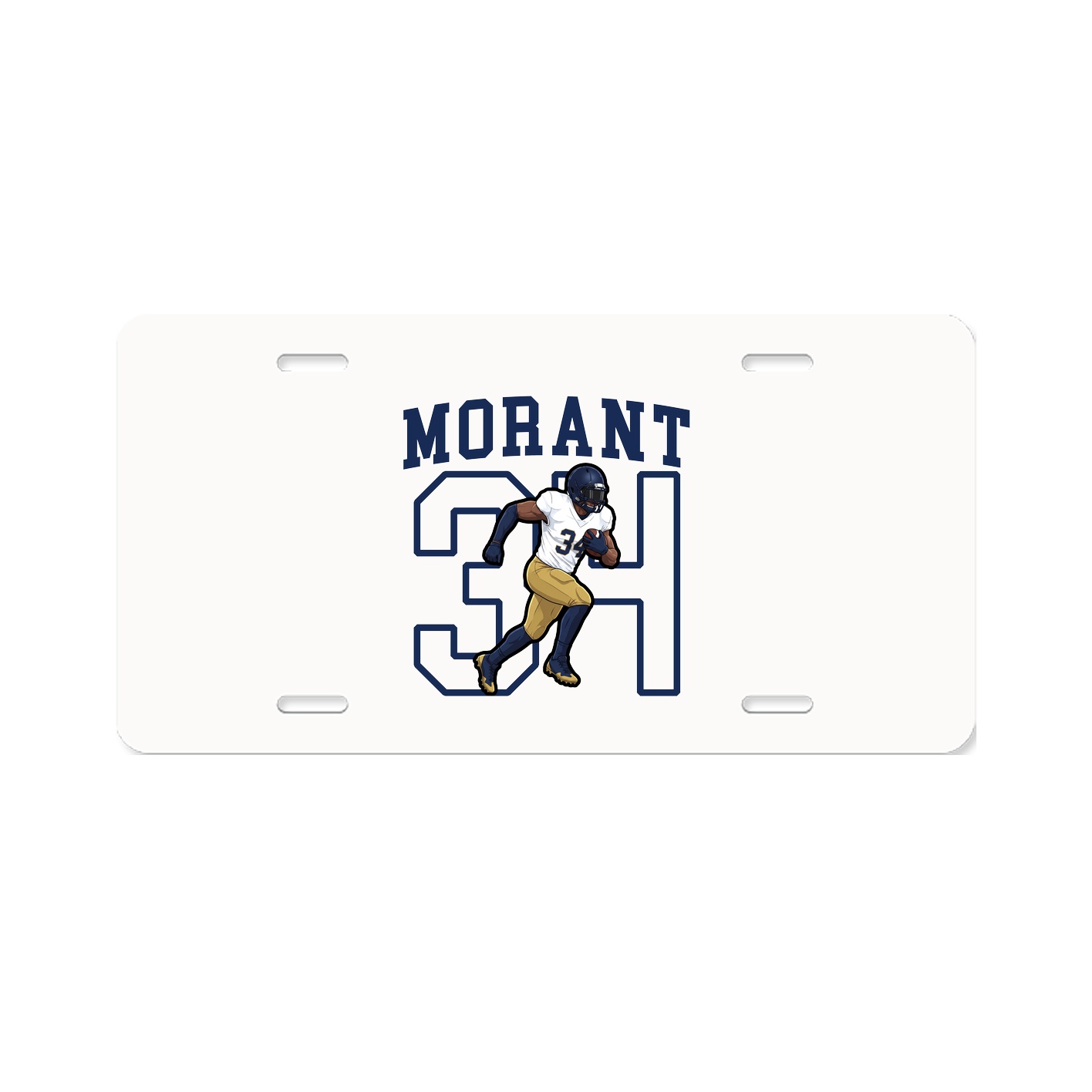 Aluminum License Plate
