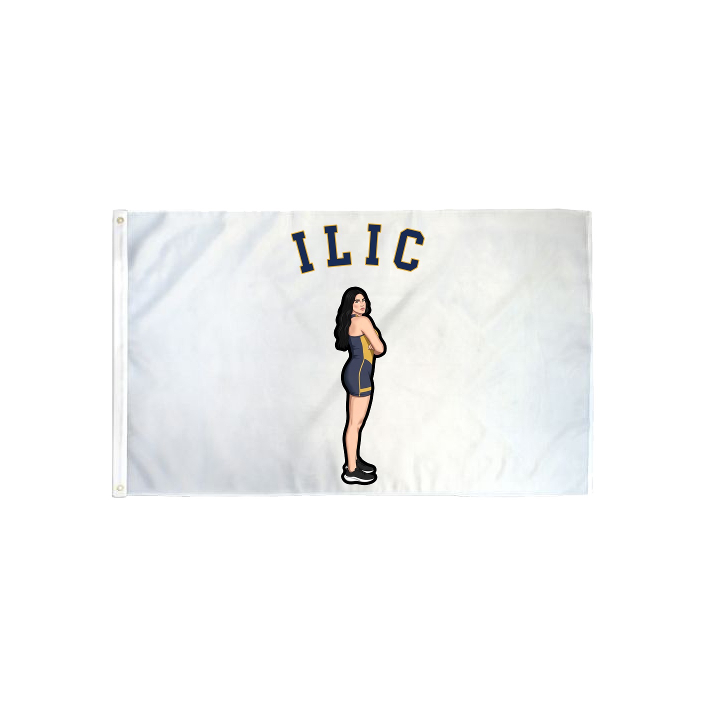 3x5 Flag — Shirsey Arch in Classic