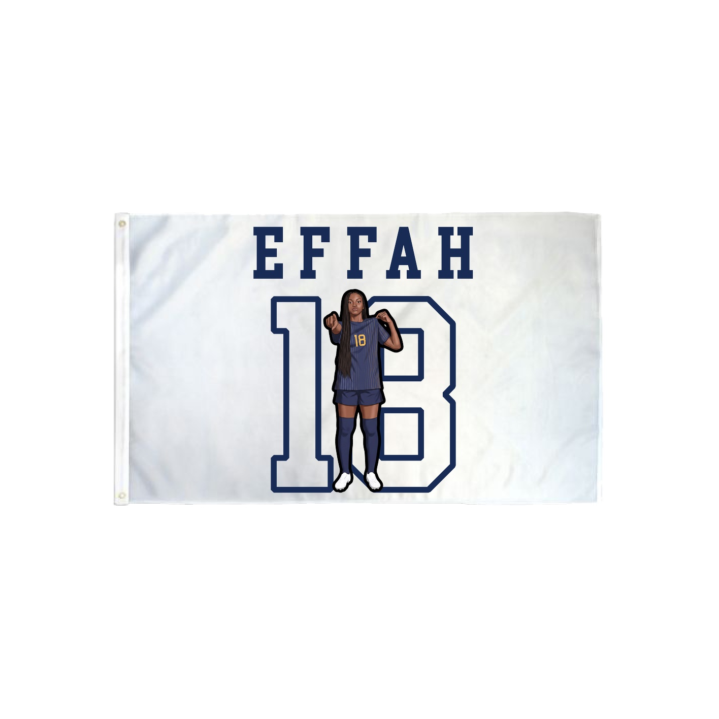 3x5 Flag — Shirsey in Classic